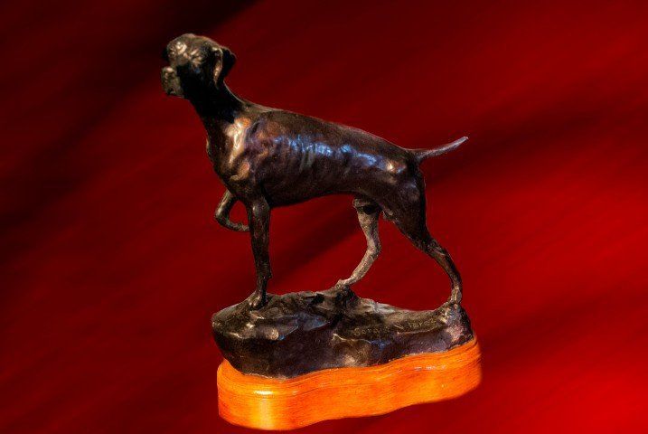 PERRO SETTER