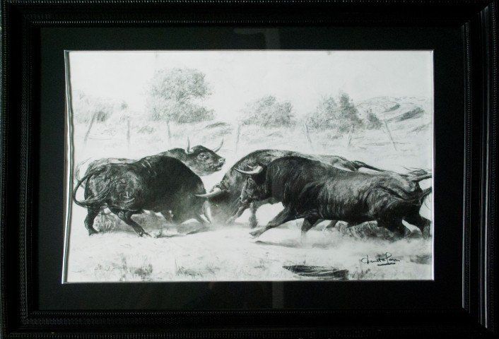 PELEA DE TOROS GRANDE 1