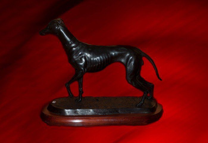 PERRO GALGO 1