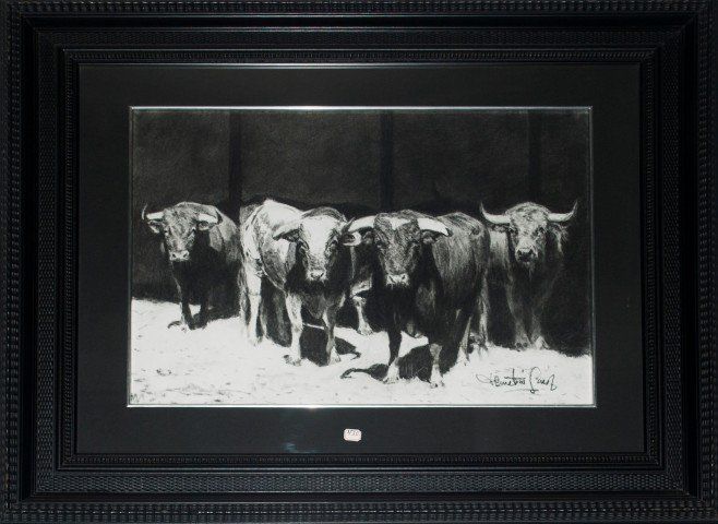 TOROS A LA SOMBRA 1