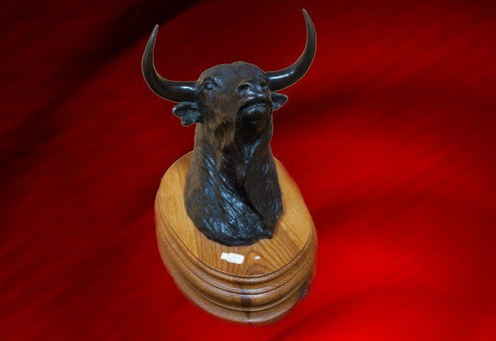 CABEZA DE TORO 1