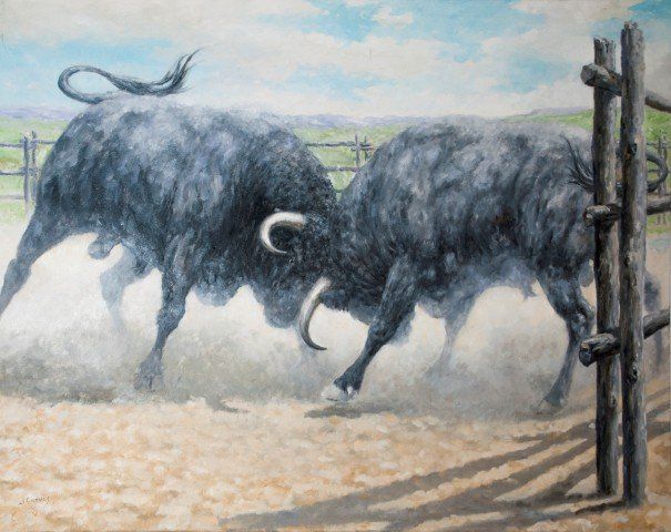 PELEA DE DOS TOROS 4