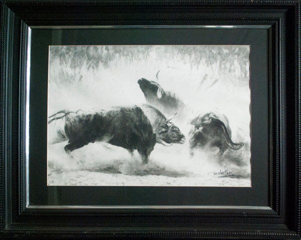 PELEA DE TOROS GRANDE 2