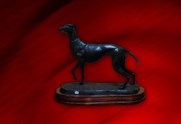 PERRO GALGO 3