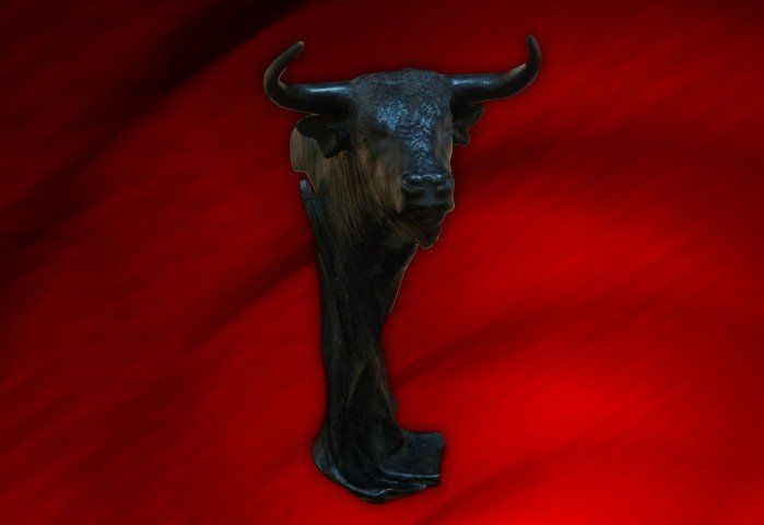 CABEZA DE TORO 2