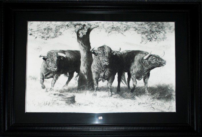 TOROS A LA SOMBRA GRANDE