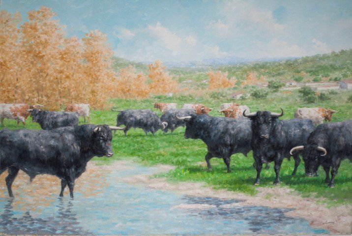 LA CORRIDA EN EL CAMPO