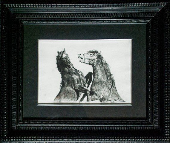 PELEA DE CABALLOS