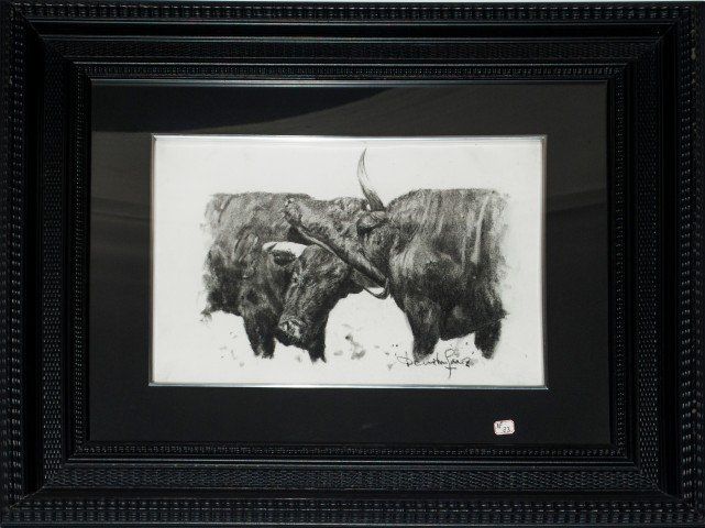 PELEA DE DOS TOROS 2