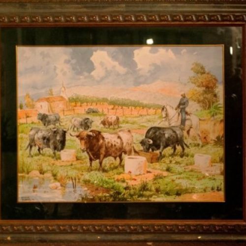 TOROS EN EL ABREVADERO