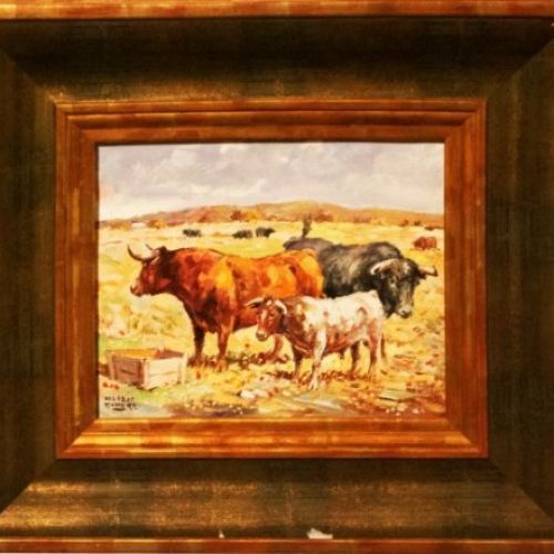 FAENAS EN EL CAMPO 2