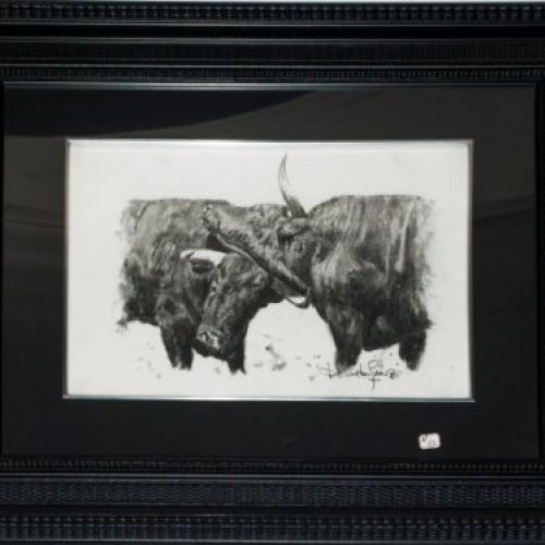 PELEA DE DOS TOROS 2