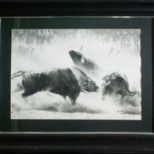 PELEA DE TOROS GRANDE 2