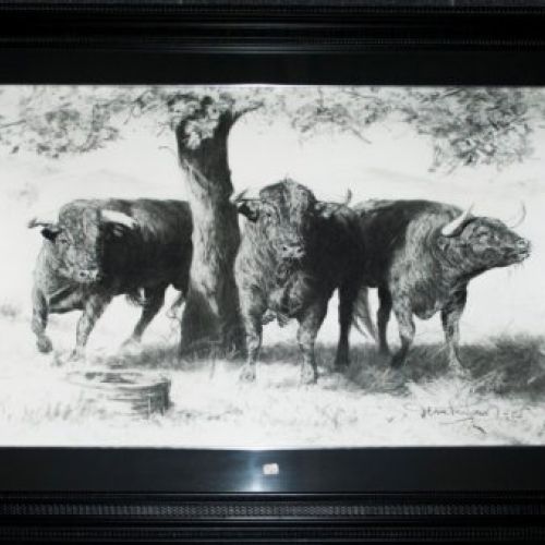 TOROS A LA SOMBRA GRANDE