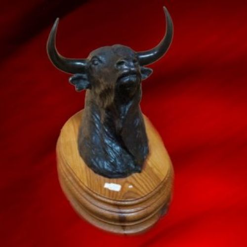 CABEZA DE TORO 1