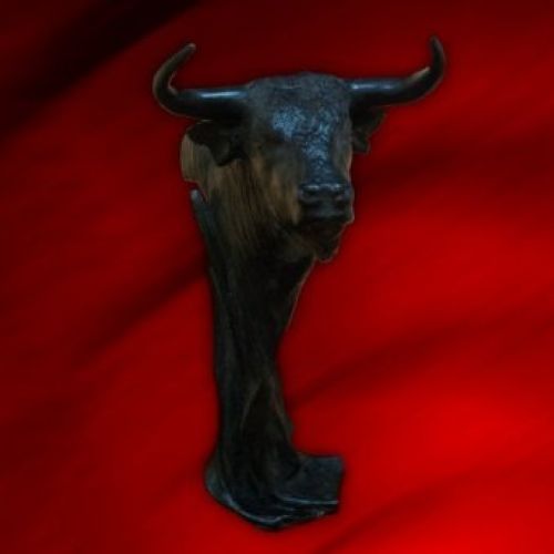CABEZA DE TORO 2