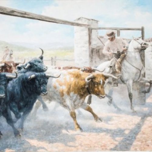 ENTRANDO AL CORRAL 4