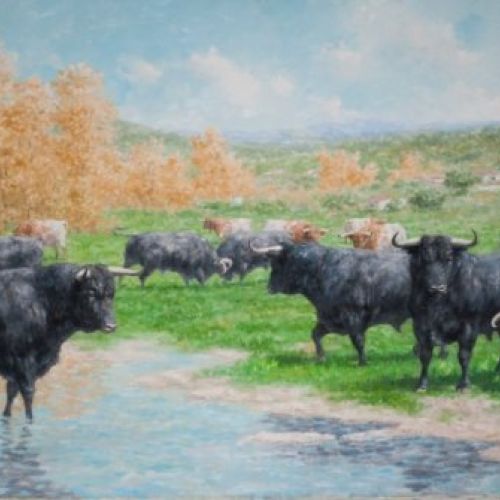 LA CORRIDA EN EL CAMPO