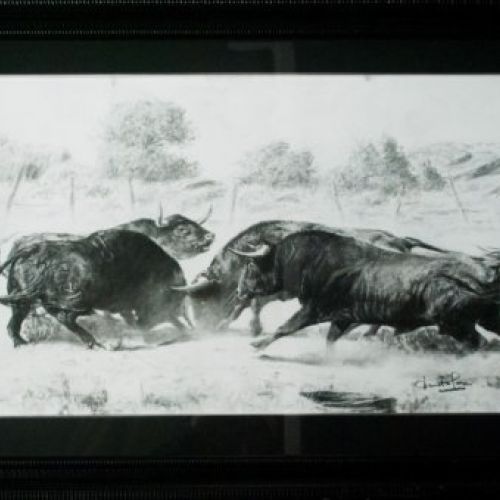 PELEA DE TOROS GRANDE 1