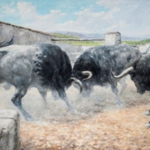 PELEA DE TOROS GRANDE  3