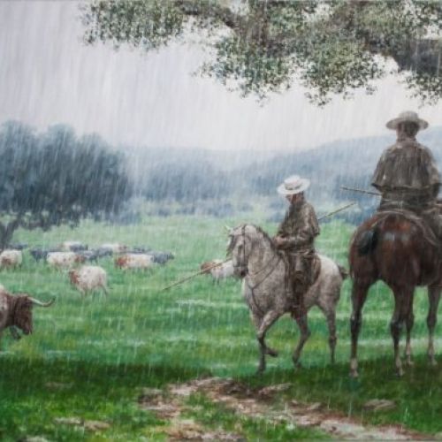 DESCANSO A LA SOMBRA 2