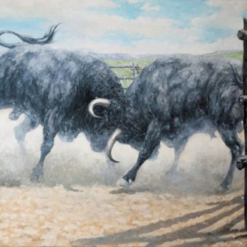 PELEA DE DOS TOROS 4